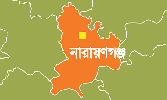 আড়াইহাজার আম কুড়াতে গিয়ে বজ্রপাতে নিহত ১