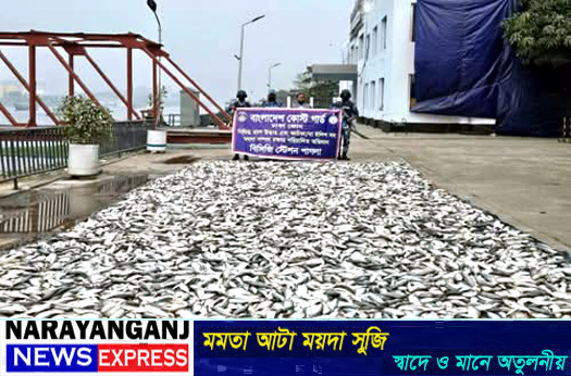 কাঁচপুরে কোস্ট গার্ডের অভিযানে ৬ হাজার কেজি জাটকা জব্দ