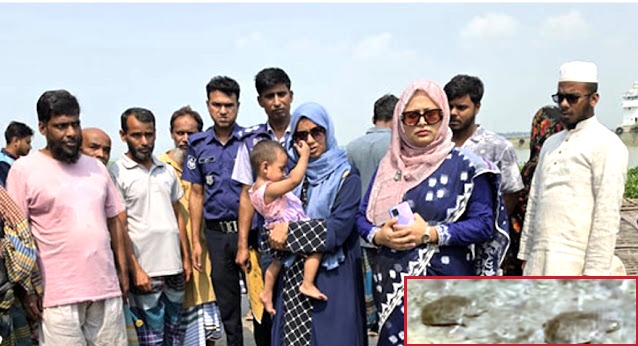 সোনারগাঁওয়ে পাচার হতে যাওয়া বিভিন্ন প্রজাতির কচ্ছপ উদ্ধার