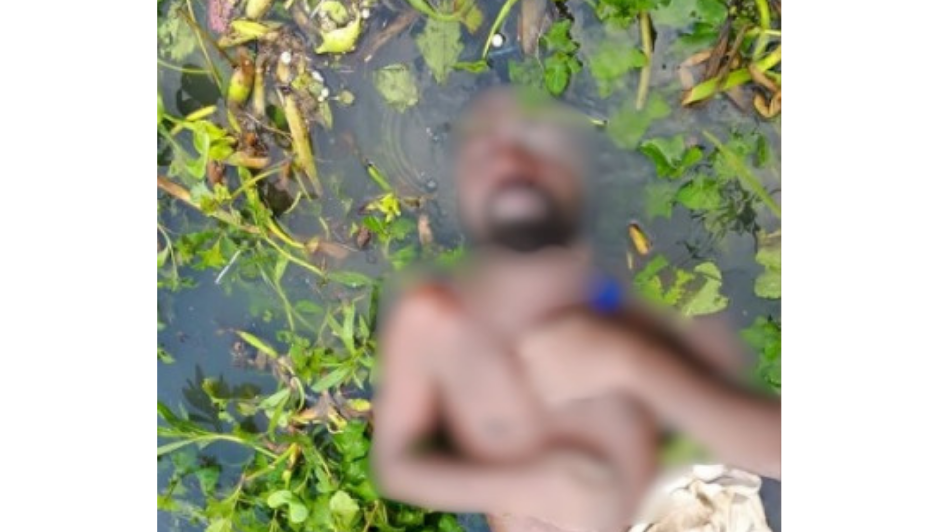 বন্দরে শীতলক্ষ্যা নদী থেকে অজ্ঞাত ব্যক্তির ভাসমান লাশ উদ্ধার