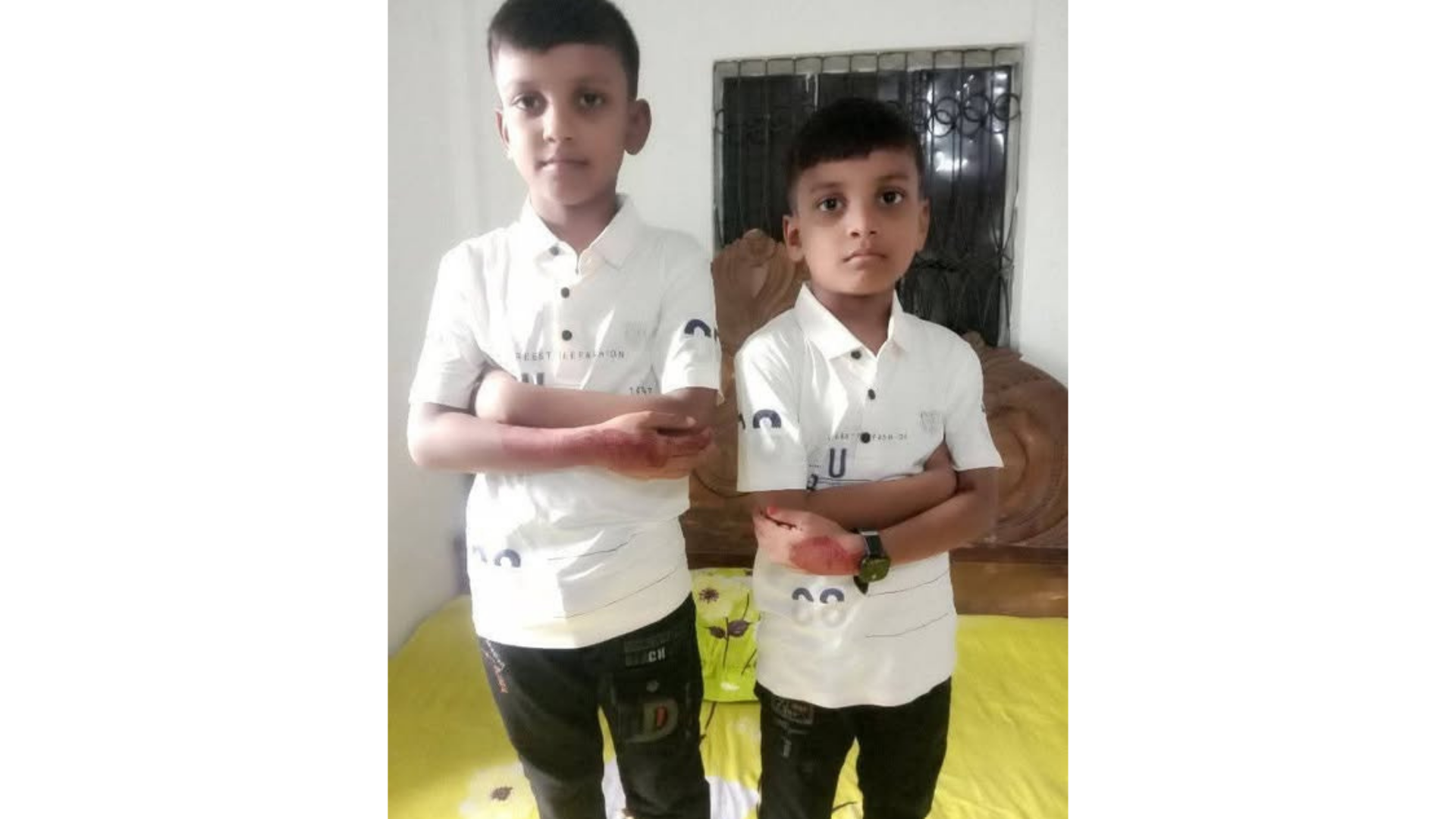 সোনারগাঁওয়ে নিখোঁজ আপন দুই ভাই