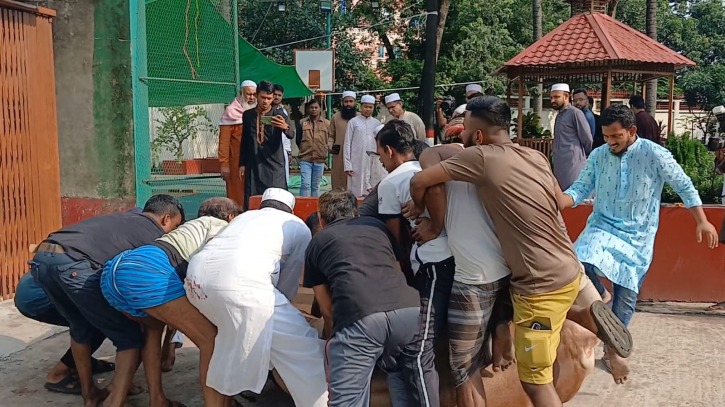 একদিনের কসাই তারা