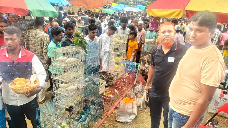 ফতুল্লায় ১৭ বন্যপাখি উদ্ধার করে অবমুক্ত