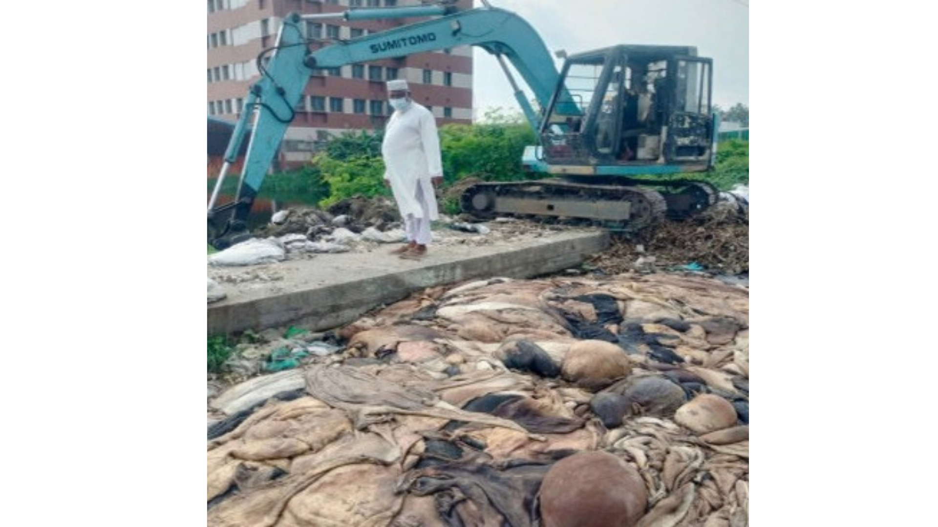 লিংক রোডে ফেলে রাখা পশুর চামড়া ও বর্জ্য অপসারণ করল প্রশাসন