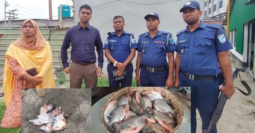 সোনারগাঁয়ে ভ্রাম্যমান আদালতের অভিযানে নিষিদ্ধ পিরানহা মাছ জব্দ