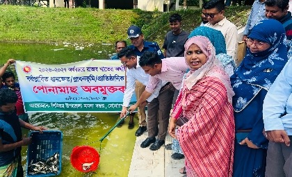 সোনারগাঁয়ে নদী ও পুকুরে বিভিন্ন প্রজাতির মাছের পোনা অবমুক্ত