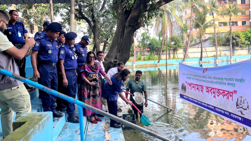 নারায়ণগঞ্জ সদরের বি‌ভিন্ন জলাশয়-পুকুরে ১০ হাজার পোনা অবমুক্ত