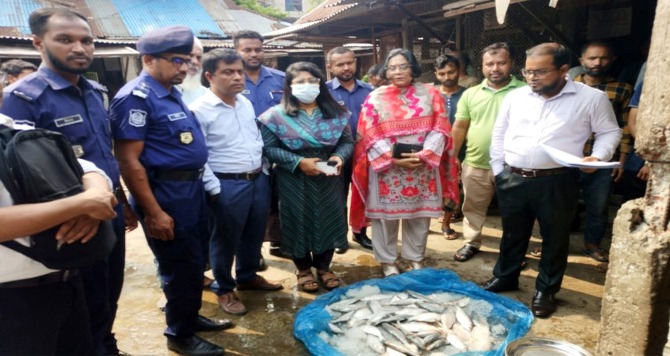 নারায়ণগঞ্জে ১২০ কেজি মা ইলিশ জব্দ, চার মাছ বিক্রেতাকে জরিমানা